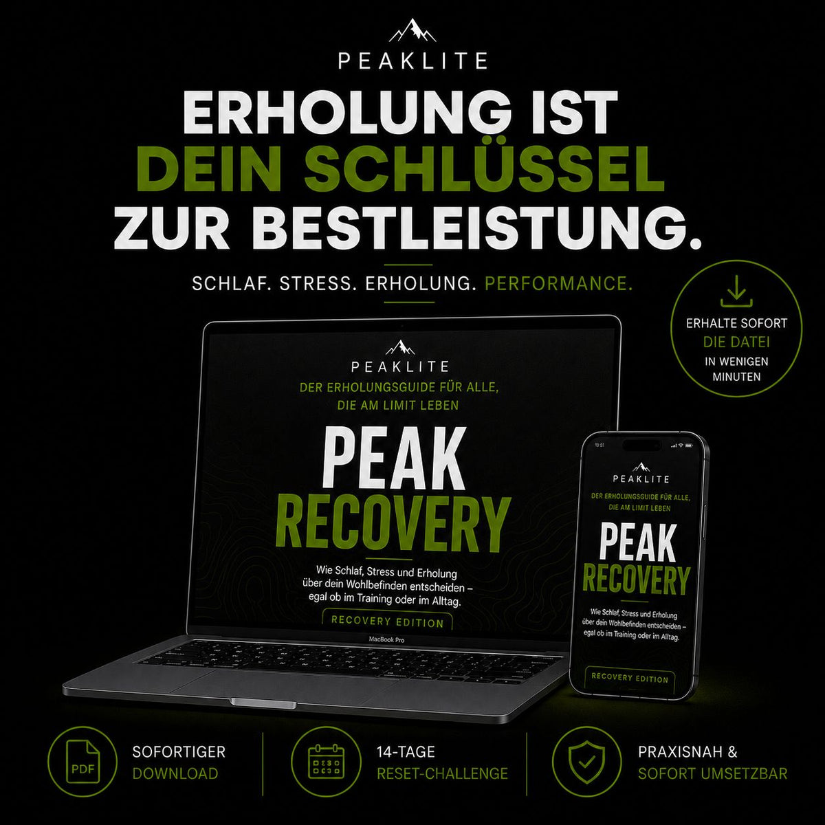 PEAK RECOVERY — E-Book